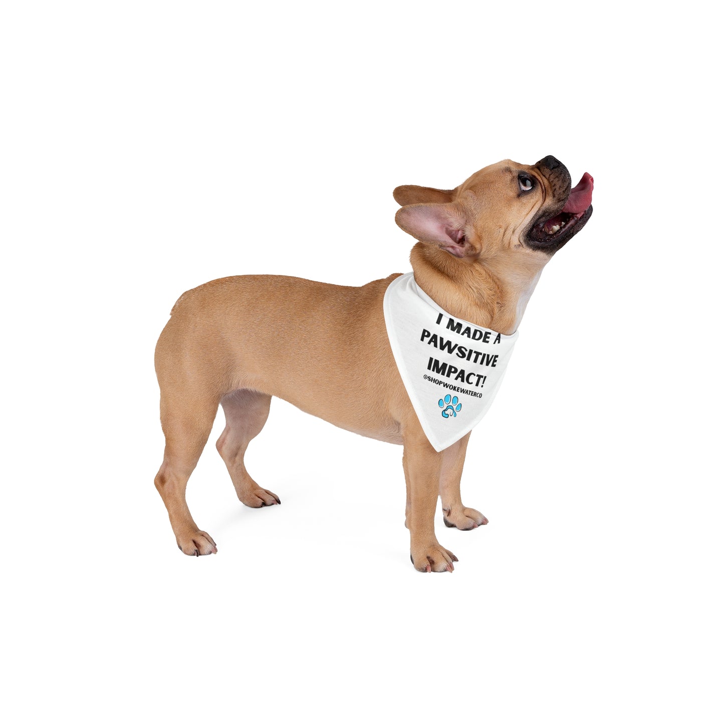 Paw-sitive Impact Pet Bandana