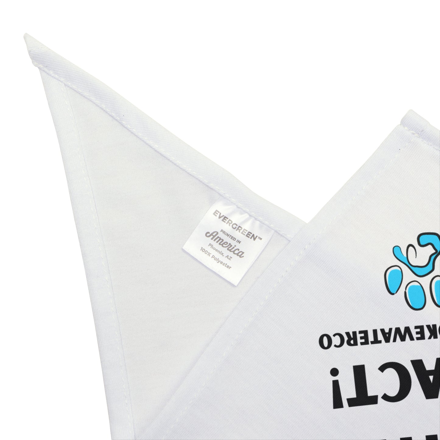 Paw-sitive Impact Pet Bandana