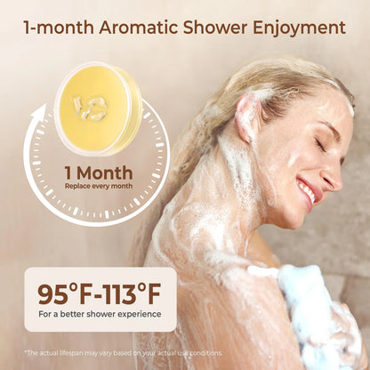 Scented Replacement Filter 3-Pack Shower Head Handheld