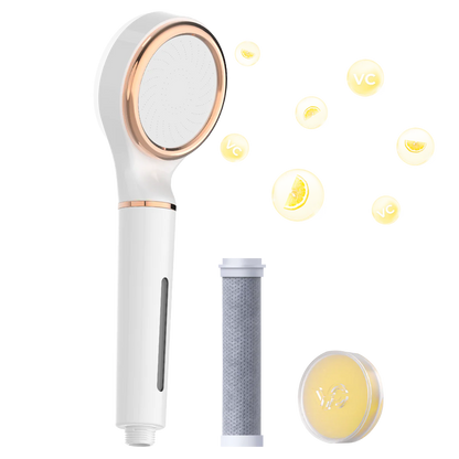 Filtered Shower Head Handheld Attachment Skincare