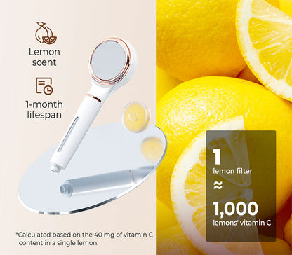 Filtered Shower Head Handheld Attachment Skincare